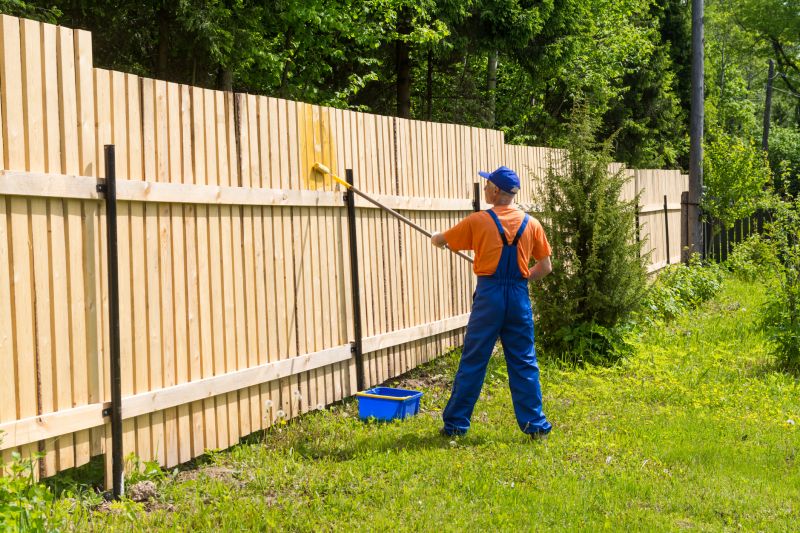 Cedar Fence Painting