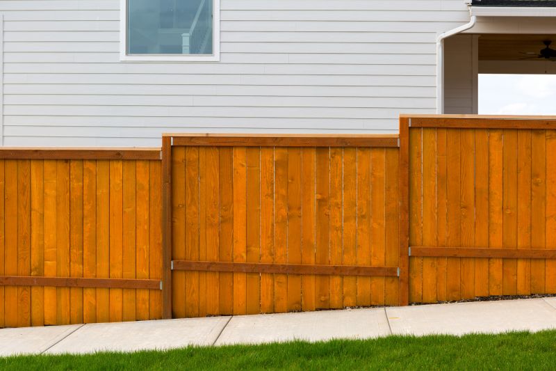 Cedar Fence Painting