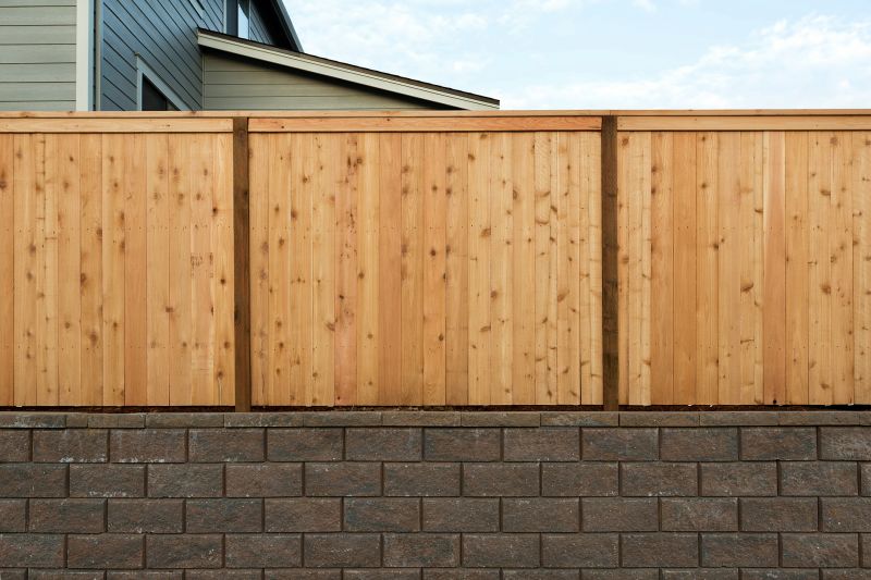 Cedar Fence Painting