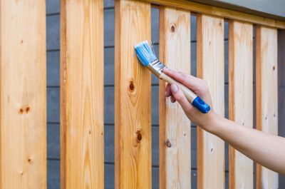 Cedar Fence Painting
